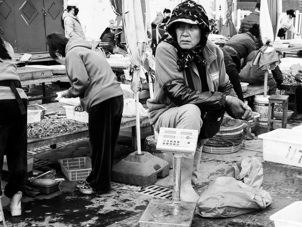 ការស្គាល់និងយល់ដឹងអំពីត្រីក្នុងសមុទ្រនិងម្រាស់