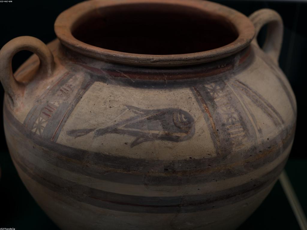 ចំណេះដឹងទូទៅអំពីត្រី