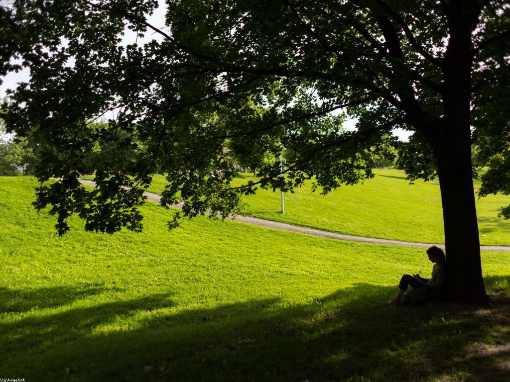 របៀបចាប់ផ្តើមការសរសេរ Blog សម្រាប់អ្នកថ្មី