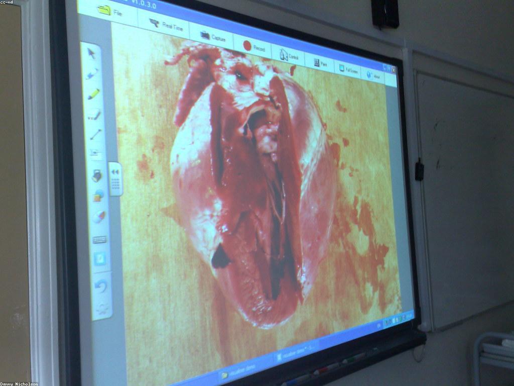 ឥទ្ធិពលនៃឧបករណ៍ និងអេក្រង់ក្នុងការសិក្សាសម័យទំនើប